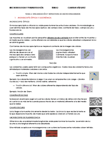 TEMA-2.pdf