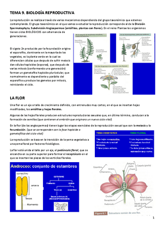 TEMA-9-BIOLOGIA-REPRODUCTIVA.pdf