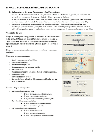 TEMA-11-balance-hidrico-del-agua.pdf