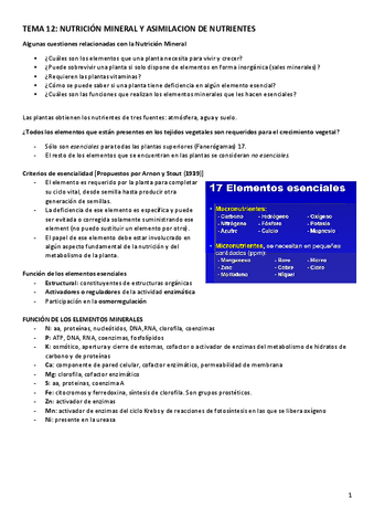 TEMA-12-y-13.pdf