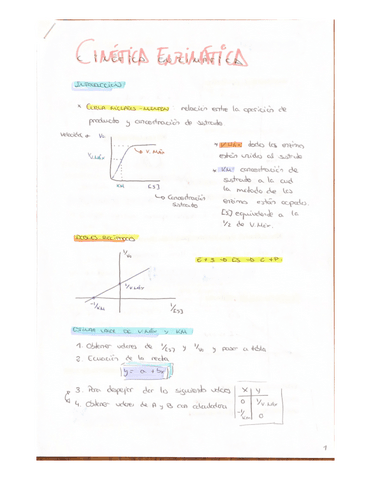 BQ-Cinetica-Enzimatica-Clara.pdf