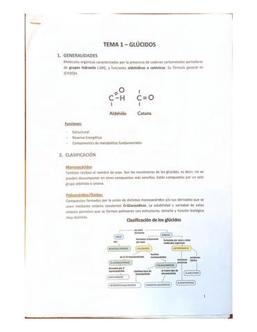 BQ-Glucidos-Clara.pdf