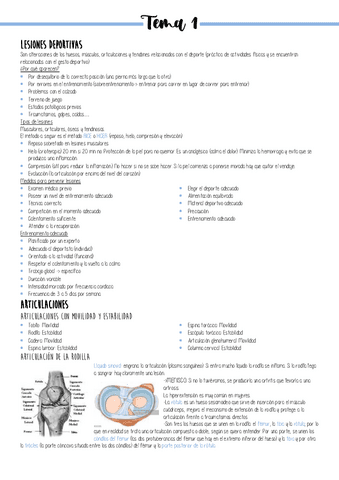Lesiones-deportivas.pdf