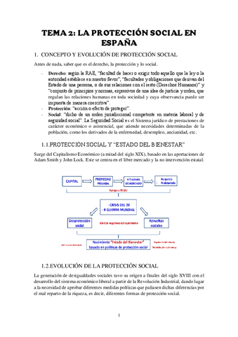 TEMA-2DERECHO-DE-LA-PROTECCION-SOCIAL.pdf