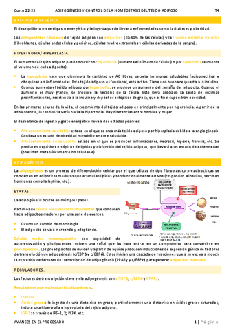 T4. Adipogénesis y control de la homeostasis.pdf