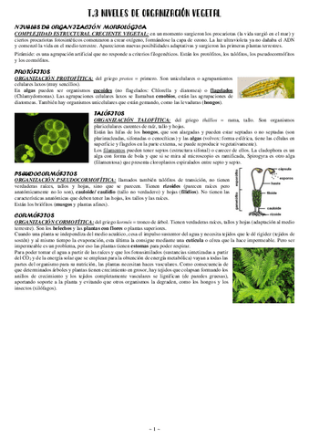 3 Niveles de organización vegetal.pdf