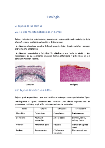 Histologia.pdf