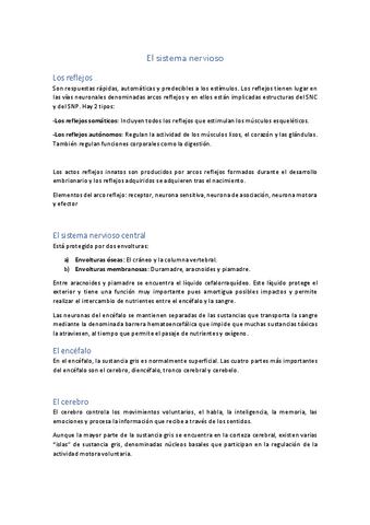 Sistema-nervioso.pdf