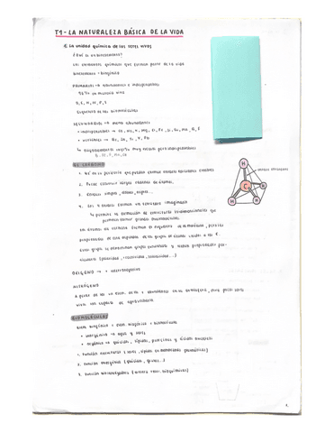 T1-LA-NATURALEZA-BASICA-DE-LA-VIDA.pdf