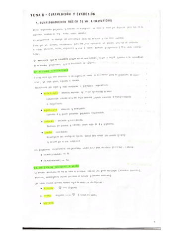 Circulacion-y-excrecion-1Bach.pdf