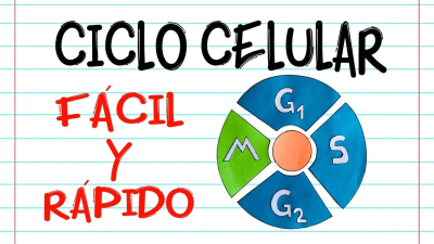 https://www.youtube.com/watch?v=I0PdiIICFW4