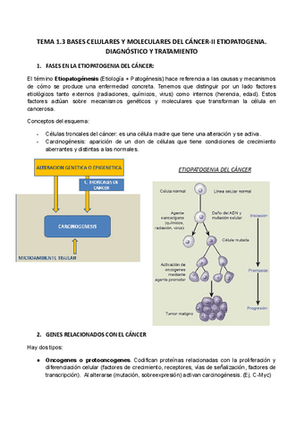 TEMA-1.3.docx.pdf