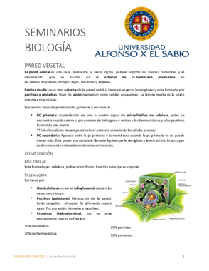 Seminarios.pdf