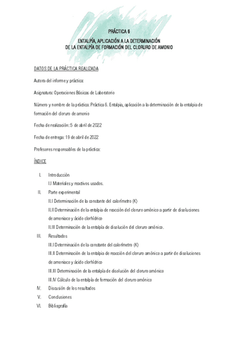 INFORME-PRACTICA-6-OBL.pdf