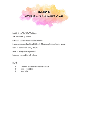 INFORME-PRACTICA-10-OBL.pdf