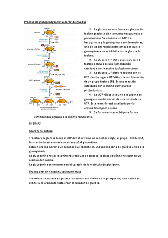 Banco-de-preguntas-de-bioquímica.pdf