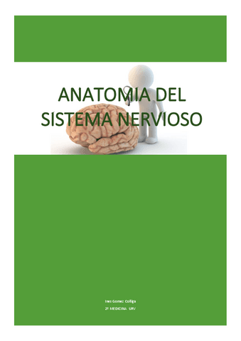 ANATOMIA-DEL-SISTEMA-NERVIOSO-2o-MEDICINA.pdf