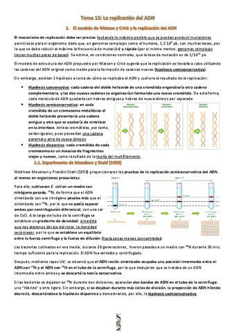 U13.-La-replicacion-del-ADN.pdf
