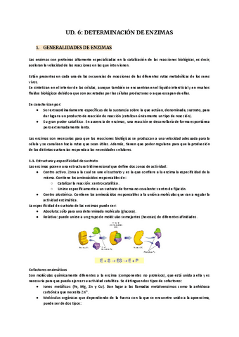 UD.6-Determinacion-de-enzimas.pdf