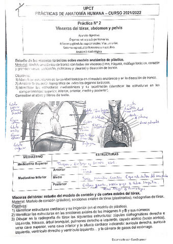 PRACTICA-N2.pdf