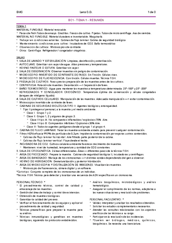 01-BMC-BC1-Resumen.pdf