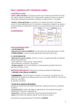 TEMA 3 ZOO.pdf