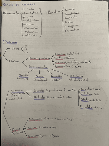 LENGUA-2BACH-Clases-de-palabras.pdf