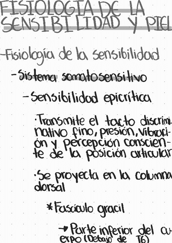 Fisiologia-de-la-sensibilidad-y-piel.pdf