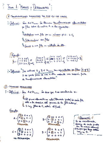 Tema-1-Matrices-y-Determinantes-Algebra-y-Geometria.pdf