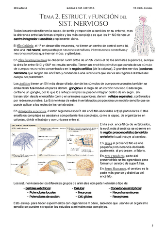 Tema-2-Estruct.-y-funcion-del-sist.-nervioso.pdf