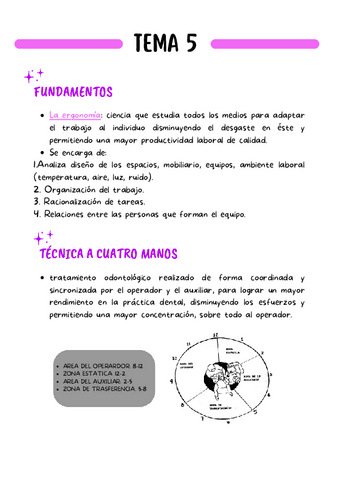 tema-5-Y-6-T.A.O.-RESUMEN.pdf
