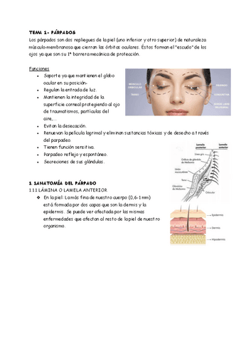 libro fisioloxía ocular.pdf