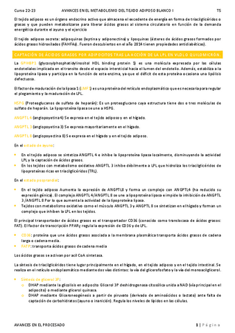 T5. Lipogénesis.pdf