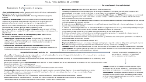 TEMA-2-GEFE-ESQUEMA.pdf