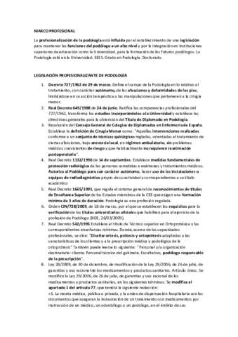MARCO PROFESIONAL.pdf