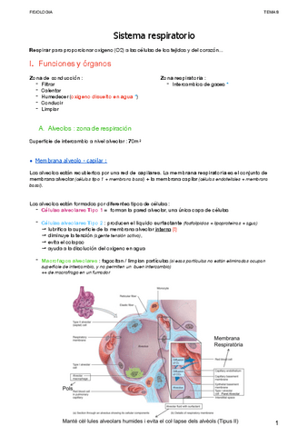 Respiratorio.pdf