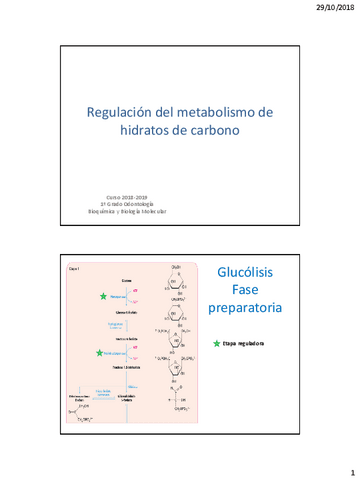 Resumen-rutas-metabolicas.pdf