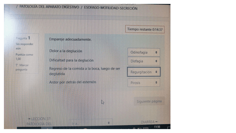 ESOFAGO-MOTILIDAD-SECRECION-2022-2023.pdf