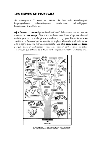 levolucio.pdf