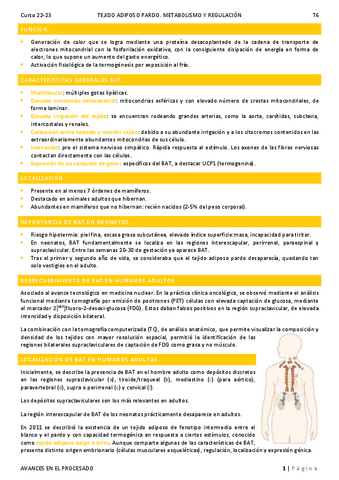 T6. Tejido adiposo pardo.pdf