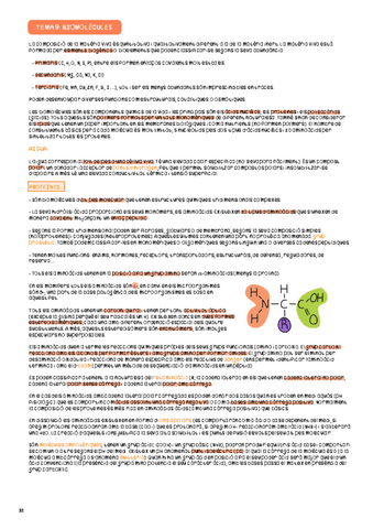 TEMA-9-biomolecules.pdf