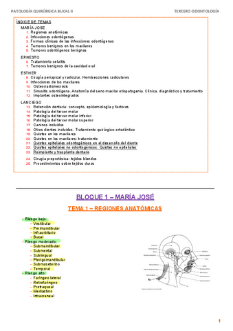 APUNTES-QX-II.pdf