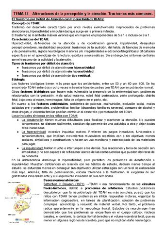 T12-Percepcion-y-Atencion.pdf
