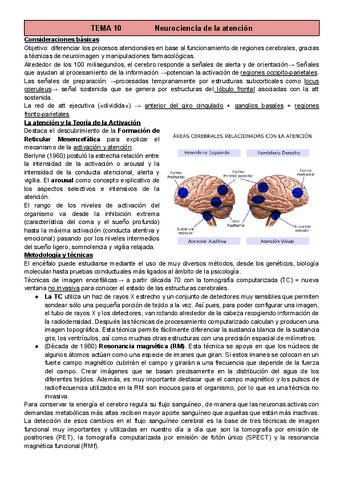 T10-Percepcion-y-Atencion.pdf