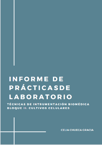 INFORME-DE-LABORATORIO.pdf