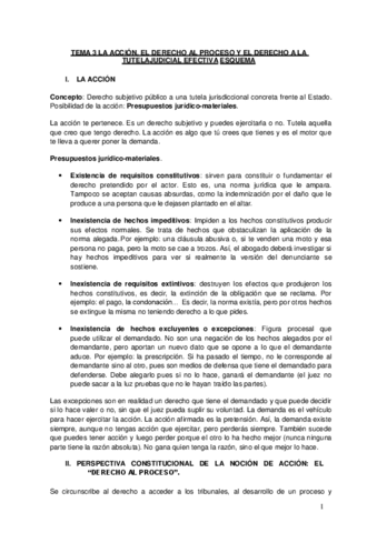 TEMA-3-La-accion-y-el-derecho-al-proceso.-La-tutela-judicial-efectiva.pdf