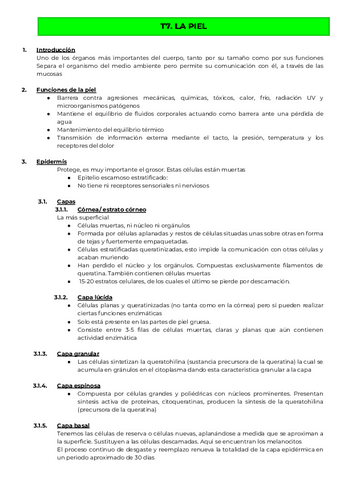T7-CITO-La-piel.pdf