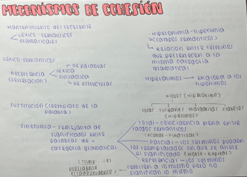 mecanismos-de-cohesion.pdf