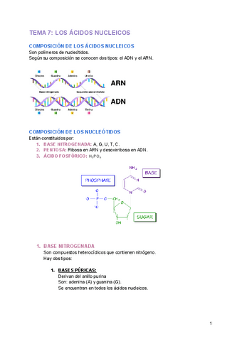 TEMA-7-LOS-ACIDOS-NUCLEICOS.pdf