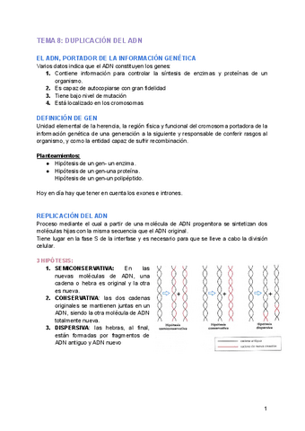 TEMA-8-DUPLICACION-DEL-ADN.pdf